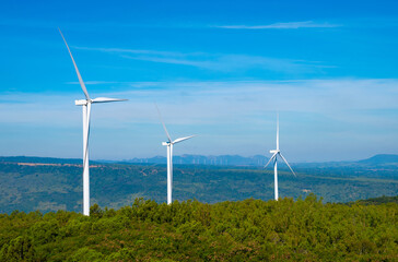 A large wind turbine was installed in the middle of the forest to generate electricity.