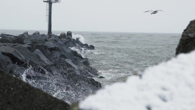 Seagull flying over stormy sea.