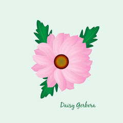 Daisy Gerbera Flowers Vector