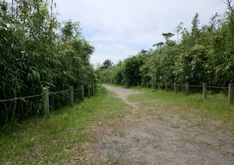 森林公園