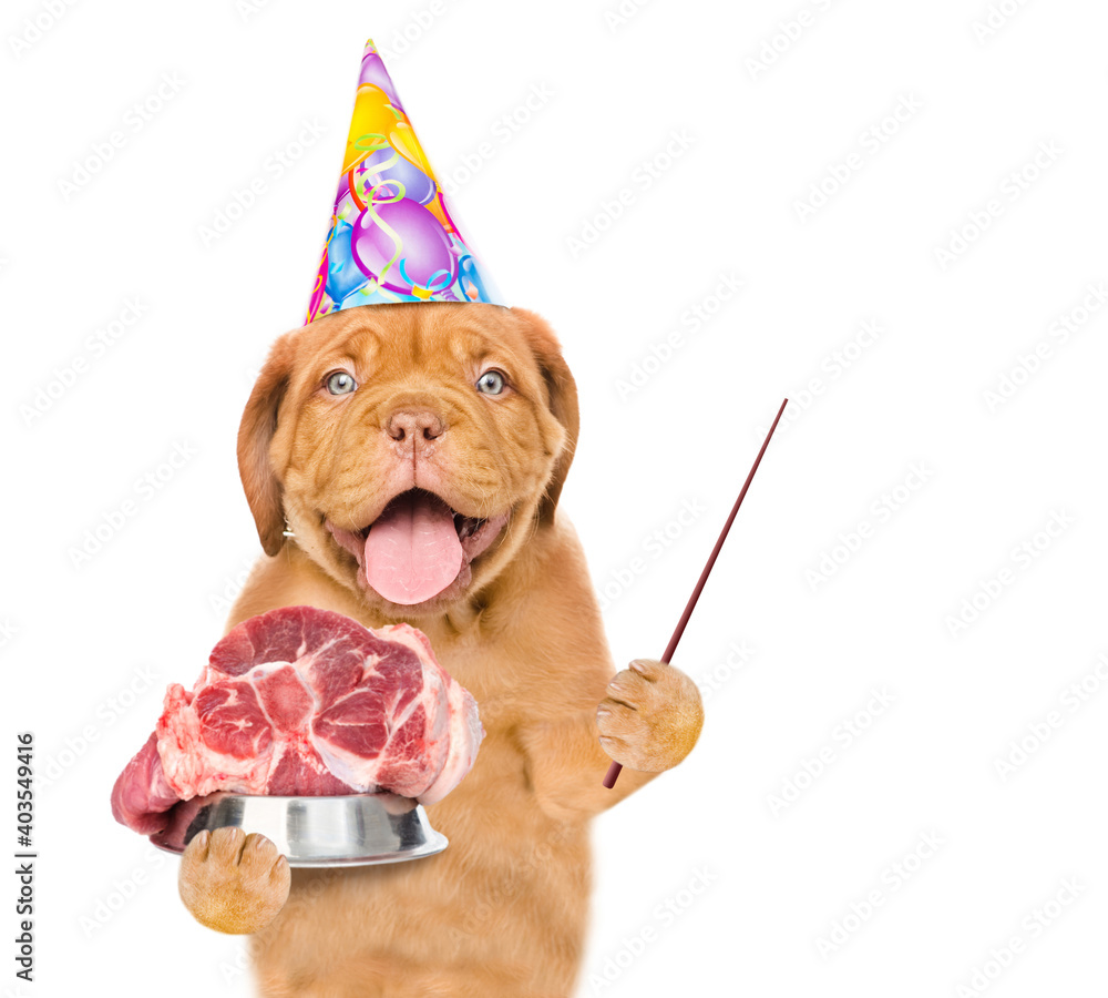 Poster Puppy wering party cap holds bowl of raw meat and points away on empty space. isolated on white background