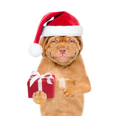 Smiling puppy  wearing a red christmas hat holds gift box. isolated on white background