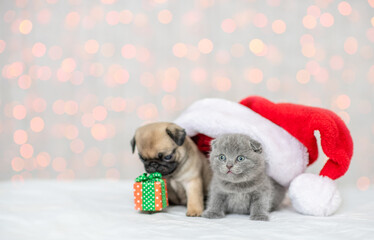 Tiny Pug puppy and kitten sit with gift box on festive background. Pets wearing red santa's hat. Empty space for text