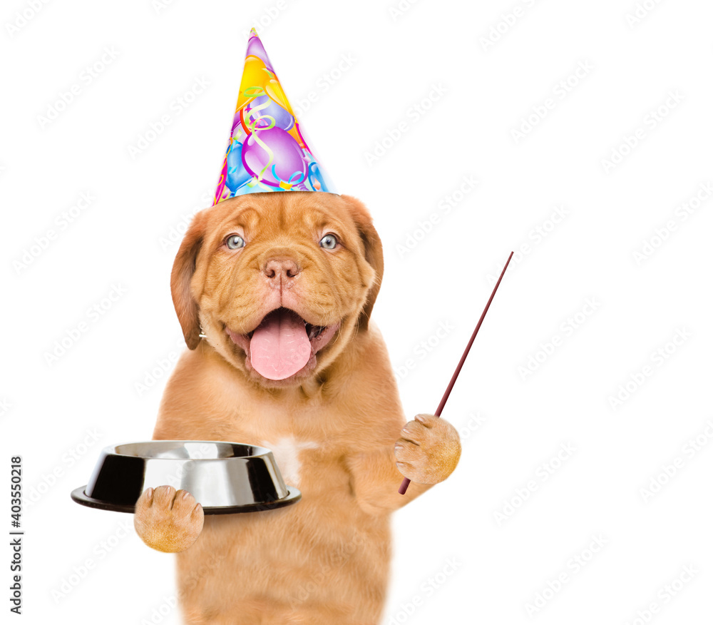 Poster Hungry puppy with open mouth wearing a party hat holds empty bowl and points away on empty space. isolated on white background