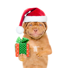 Smiling puppy  wearing a red christmas hat holds gift box. isolated on white background