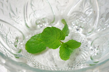 Mint leaves in shiny transparent glass bowl in selective focus white background