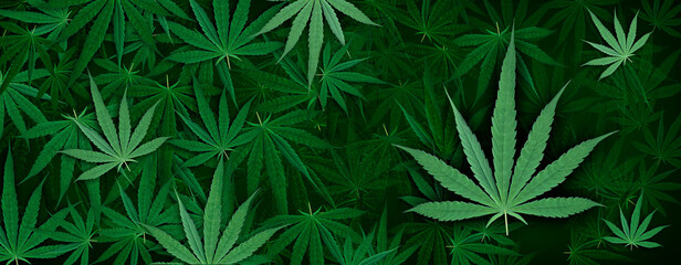 background from the Marijuana leaf. design pattern artwork