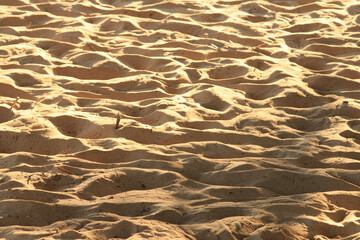 Arena dorada en playas mexicanas 