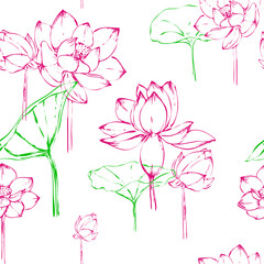 Detailed hand drawn illustration seamless floral pattern of lotus. sketch. Vector. Elements in graphic style label, card, sticker, menu, package.