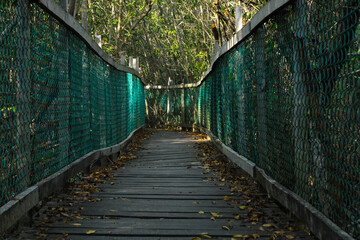 Fototapeta premium Puente de madera rustico en medio de la selva en atardecer (Jalisco, México) 