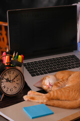 Orange cat asleep on the laptop keyboard with alarm clock, note and stationery on the desk.