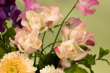 ローズ　ストロベリーモンローウォーク