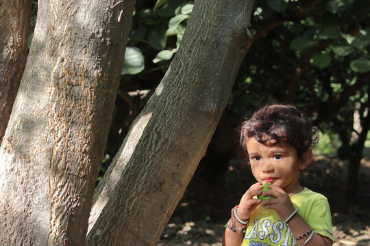 A beautiful Indian little child eating guava in the garden