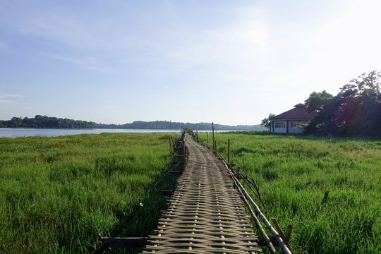 Bamboo bridge, surrounded by some green plants, along the shallow part of a lake on a sunny day.