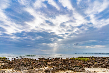 Fototapeta na wymiar 石垣島の空と岩場の自然