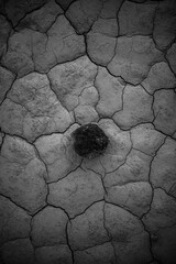 Stone in the middle of cracked earth