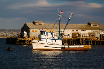 fishing boat, boat, ocean, water, monterey bay, monterey bay california, monterey, fishing, sea,...