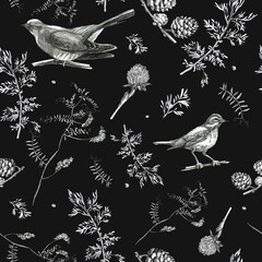 Illustration, pencil. A pattern of leaves and branches of plants, birds. Freehand drawing of flowers on a black background.