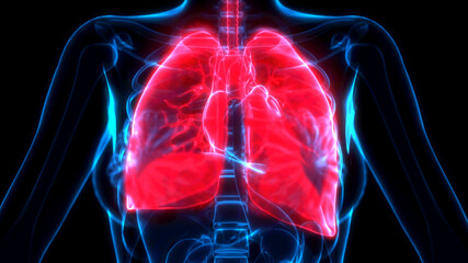 healthcare 3d illustration, lungs risk on xray view