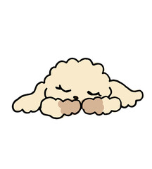 sleeping white toy poodle dog hand writing vector cartoon illustration
