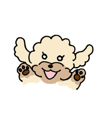 Smiling white toy poodle dog hand writing vector cartoon illustration