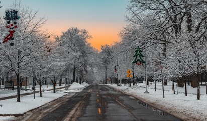 winter in the park