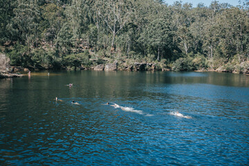 Kentlyn Basin - Kentlyn, New South Wales, Australia