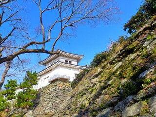 青空わ背景にした見上げた城郭と石垣の風景