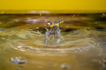 splash