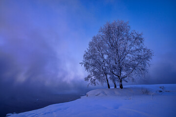 Winter landscape view of trees covered with fresh snow on shore of river