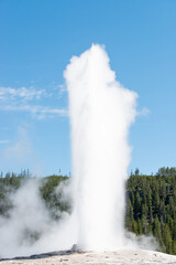 Old Faithful Geyser in Yellowstone National Park, Wyoming