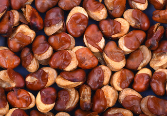fava bean, roasted and salty on white background