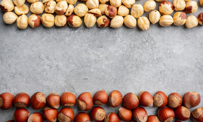 Hazelnuts peeled and in shell on gray background. Background and textures. 