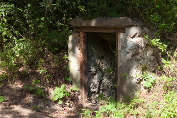 Haunted House - In The Middle Of The Forest