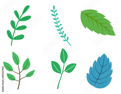 葉っぱのイラストセット Wall Mural Wallpaper Murals Dragontiger8