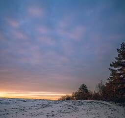 Winter forests