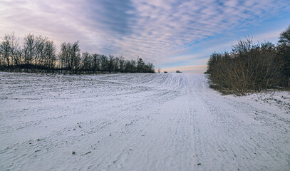 Fototapeta premium Winter moring among fields