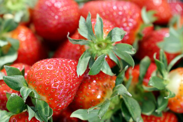 Fresh strawberries with leaves close up