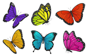 Set of colorful butterflies. Illustration.