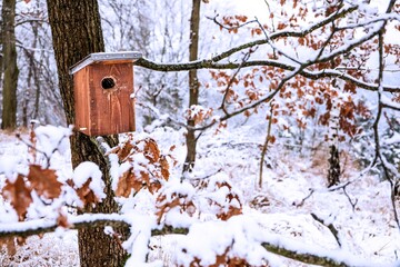 Birdhouse in winter. The snow on the birdhouse. Frosty winter morning. Shelter for birds. Ecology concept.