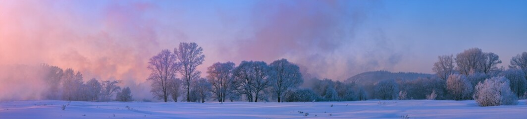 Winter landscape view of trees covered with fresh snow on shore of river