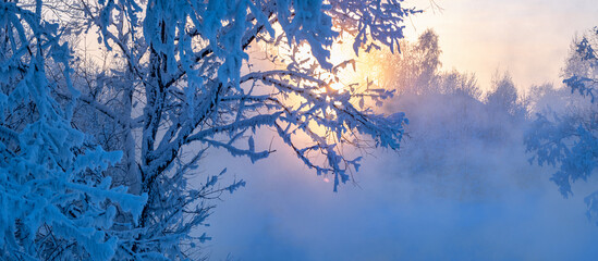 picturesque winter landscape view of trees covered with fresh snow at sunrise 