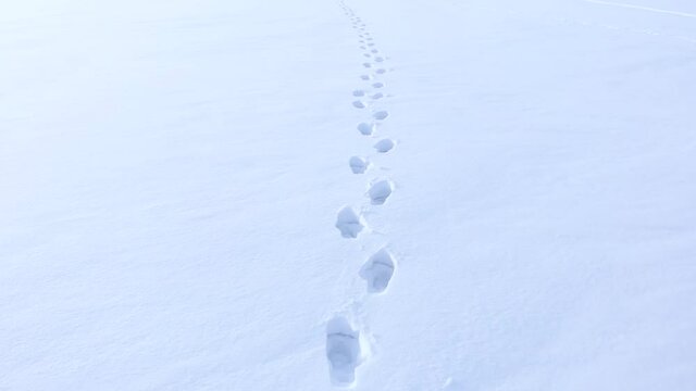 Human footprints in the white snow.
