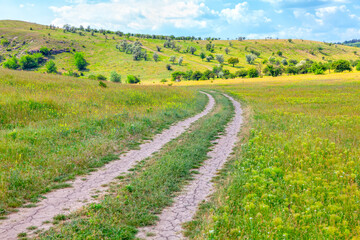Country road and green meadow . Spectacular spring landscape 