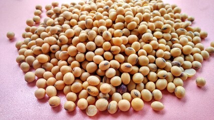 A pile soybeans isolated on pink background. Glycine max is the best nut for protein intake