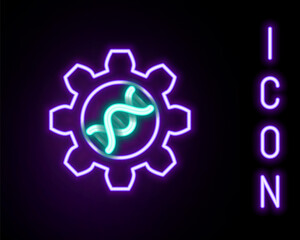 Glowing neon line Genetic engineering icon isolated on black background. DNA analysis, genetics testing, cloning, paternity testing. Colorful outline concept. Vector.