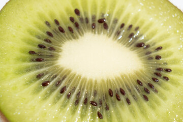 kiwi ,Actinidia deliciosa