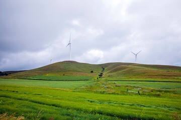 Fototapeta na wymiar Wind turbines under blue skies