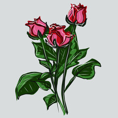 Bouquet of three red lush roses. Season, spring, holidays. A gift for a girl, a loved one. Plants, nature. Vector isolated image.