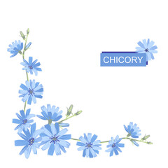 Corner frame of blue chicory flowers. Copy space for design.Blossoming branch. Botanical style illustration.